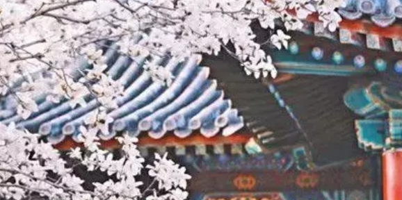 yth游艇会(中国区)官方网站